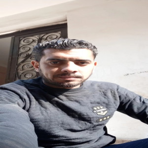 mahmoud fahmy 